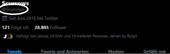 Kann ich meinen Accountnamen auf Twitter ändern? (Computer, Internet