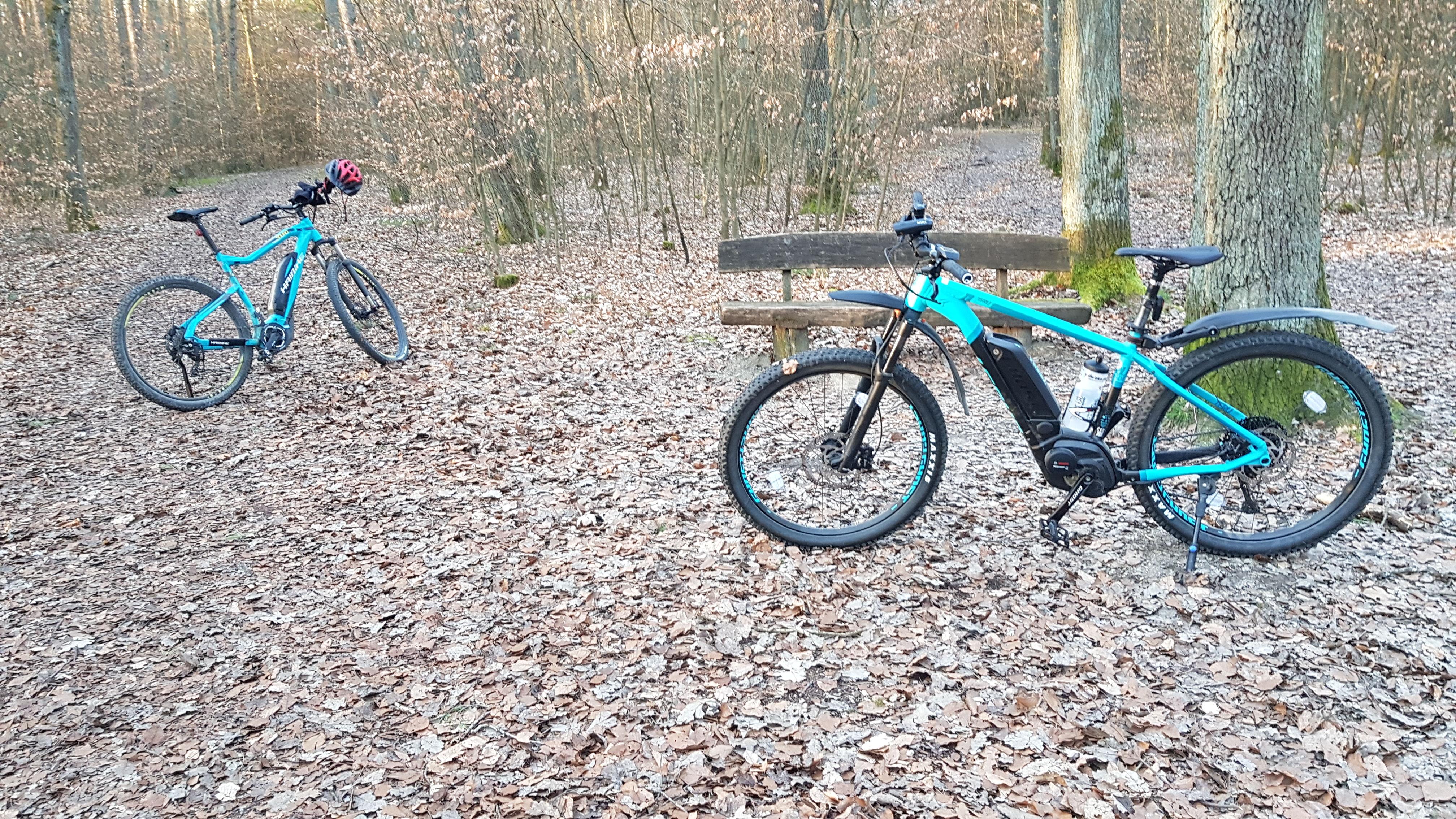 Kann ich mit diesem Fahrrad (EBike) Wheelies ausüben und