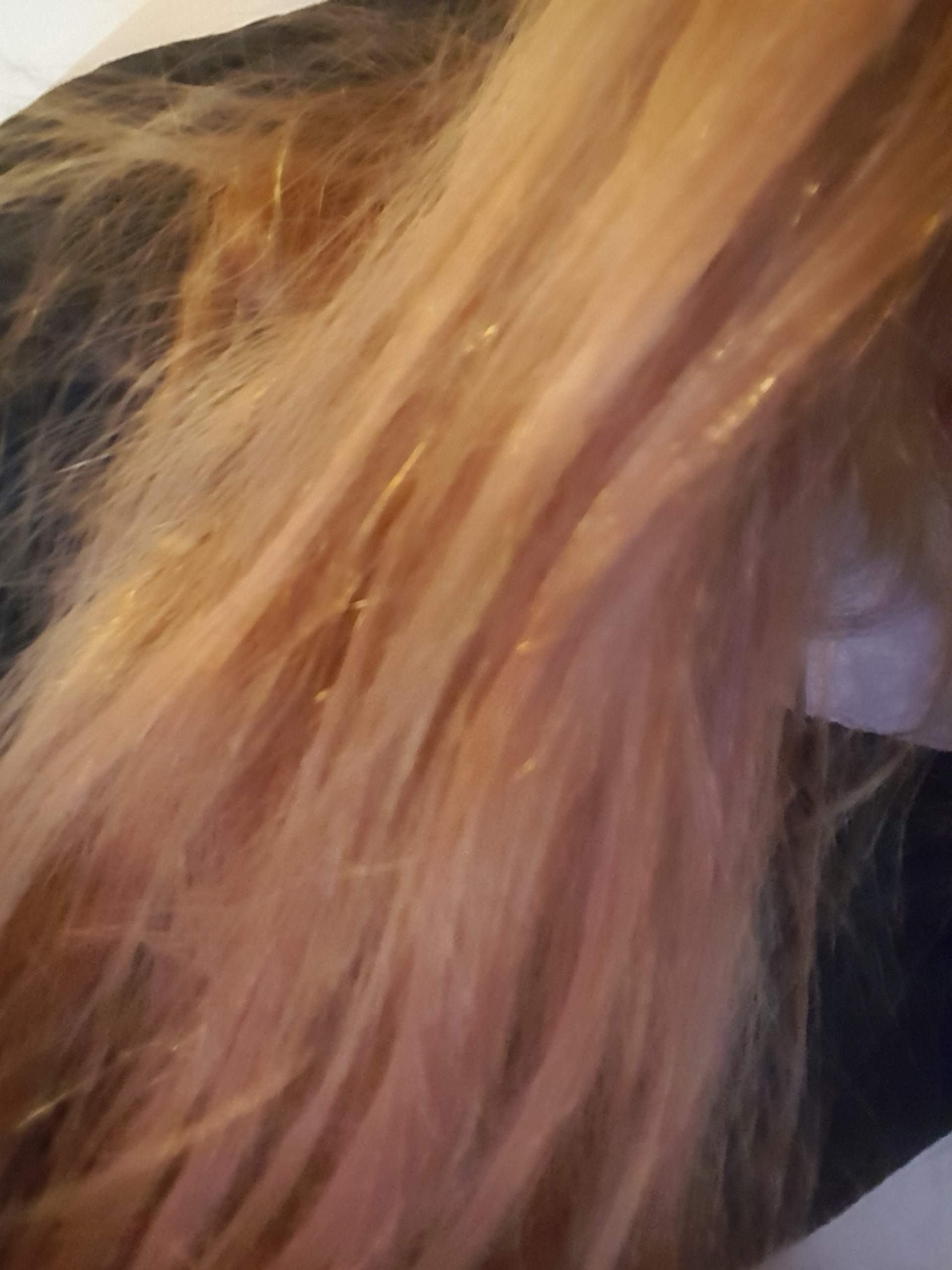 kann-ich-orange-haare-mit-directions-t-nen-haarfarbe-haare-f-rben