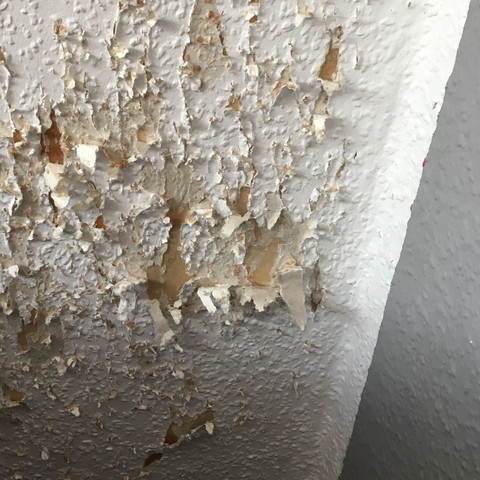 Kann Ich Uber Diese Rauhfasertapete Neu Tapezieren Maler Renovieren Tapete