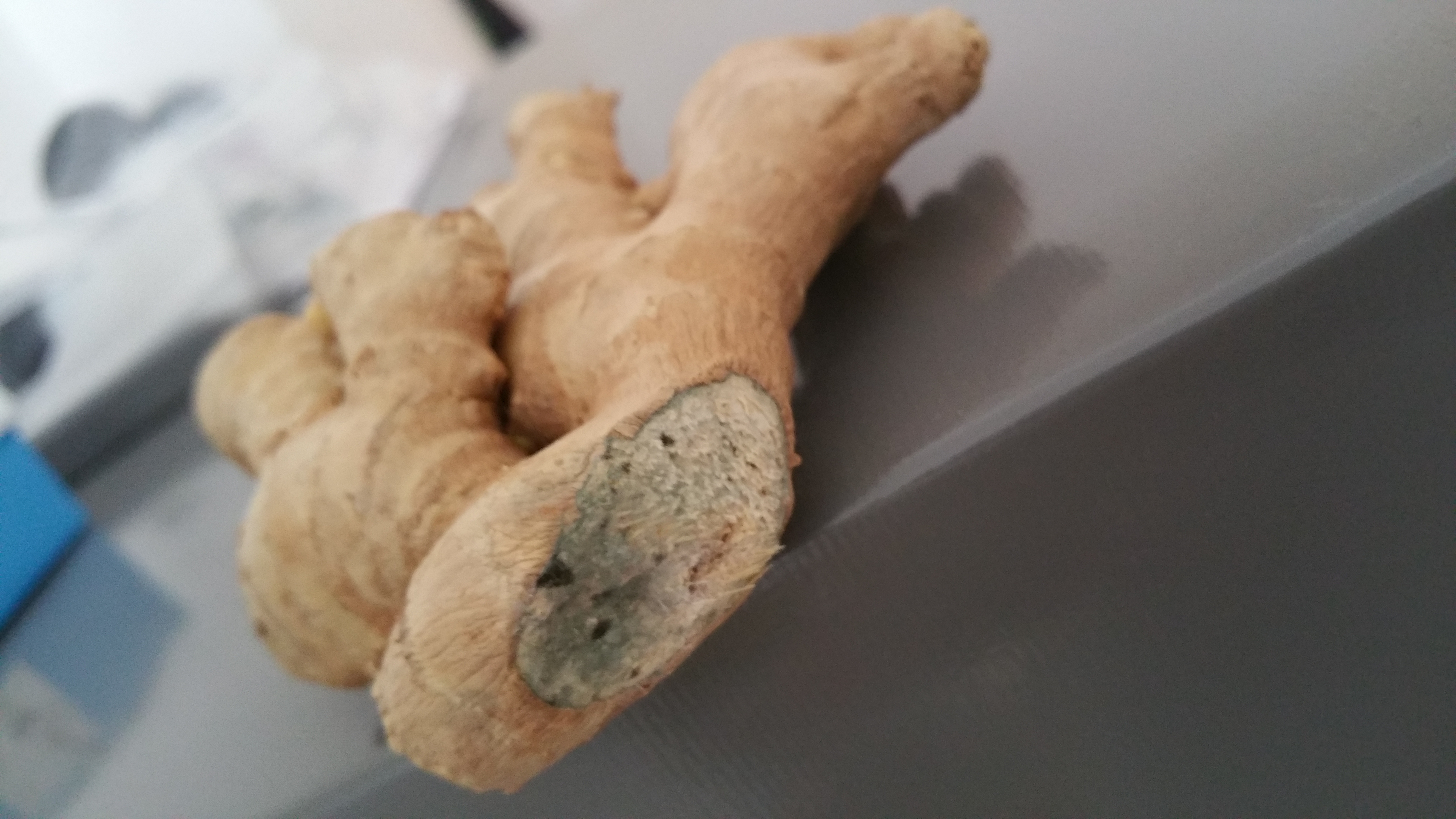 Kann Ingwer schimmeln? (Gesundheit und Medizin, Lebensmittel, Schimmel) Kann Ingwer schimmeln? (Gesundheit und Medizin, Lebensmittel, Schimmel)