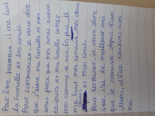 Kann Jemand Das Korrigieren Franzosisch Text