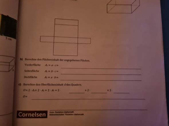 Bild zum Beitrag