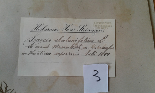 - (Herbarium, altdeutsche Schrift, Berchtesgadener Land)