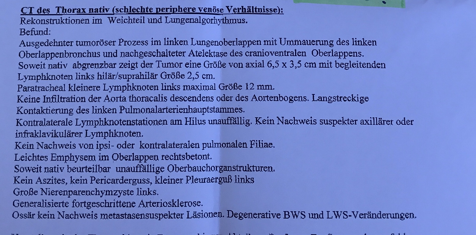 Welche Sprache Sprichst Du übersetzen
