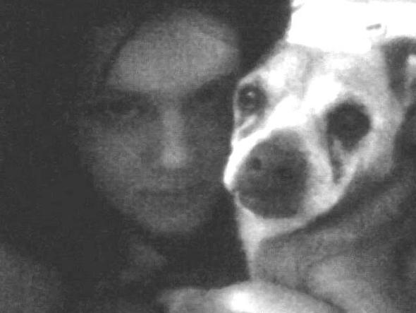 herzhusten hund einschläfern