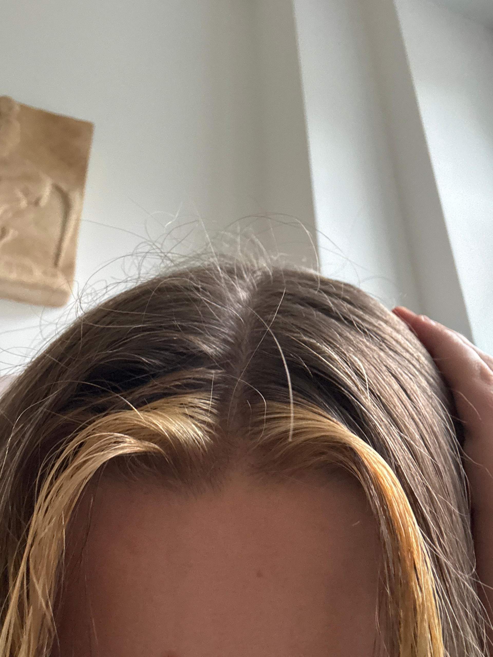 Luxus Wie Lange Haarfarbe Einwirken Lassen Bild