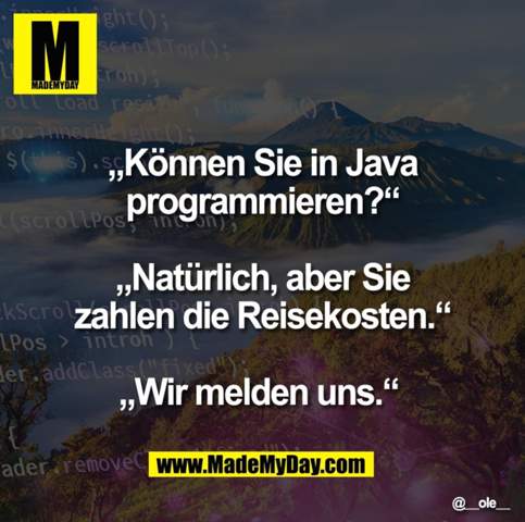 Bild zum Beitrag