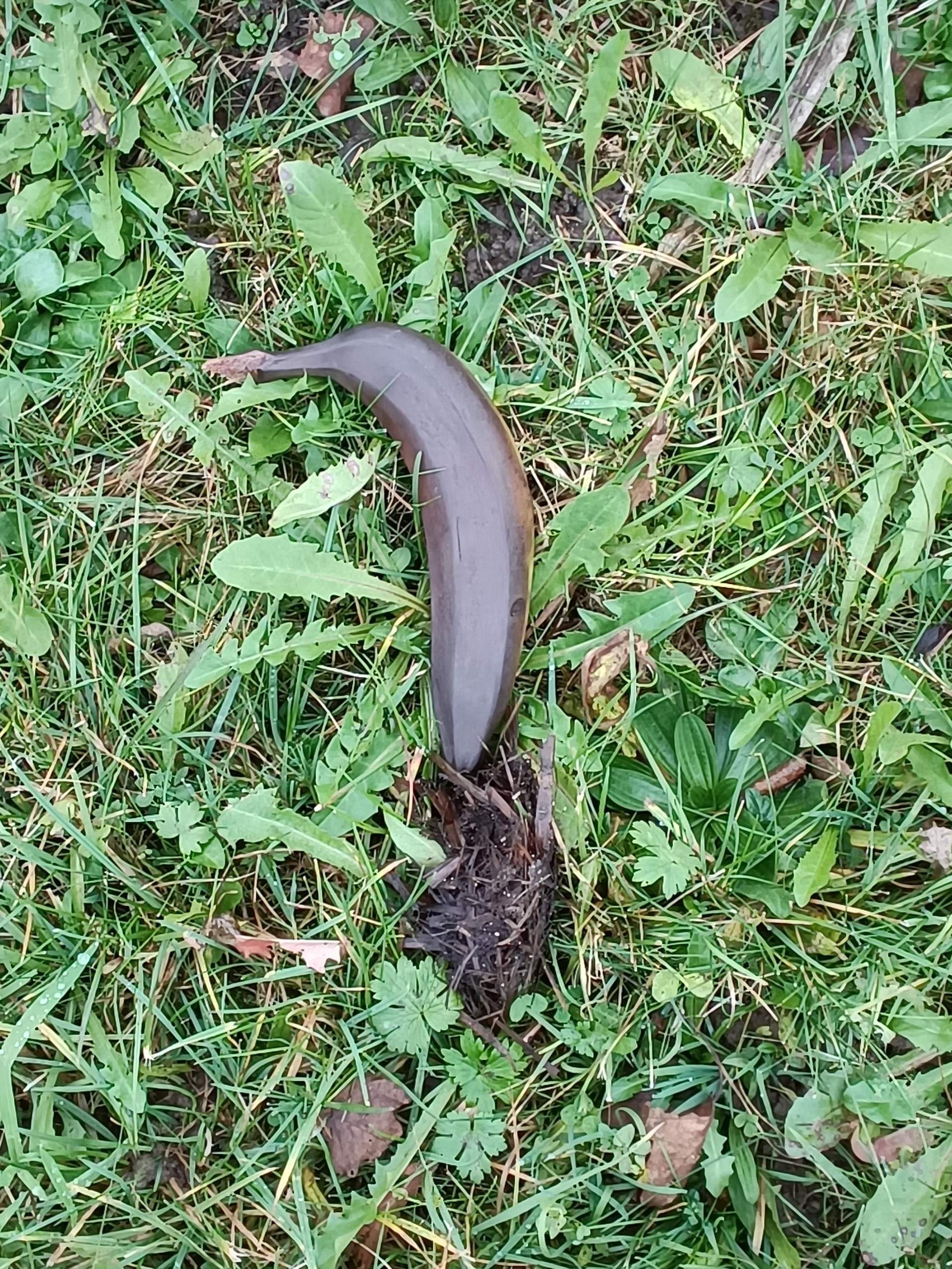 Wo Kann Man Das Oneplus 6 Kaufen Kann man das noch essen? (Kinder, gesunde Ernährung)