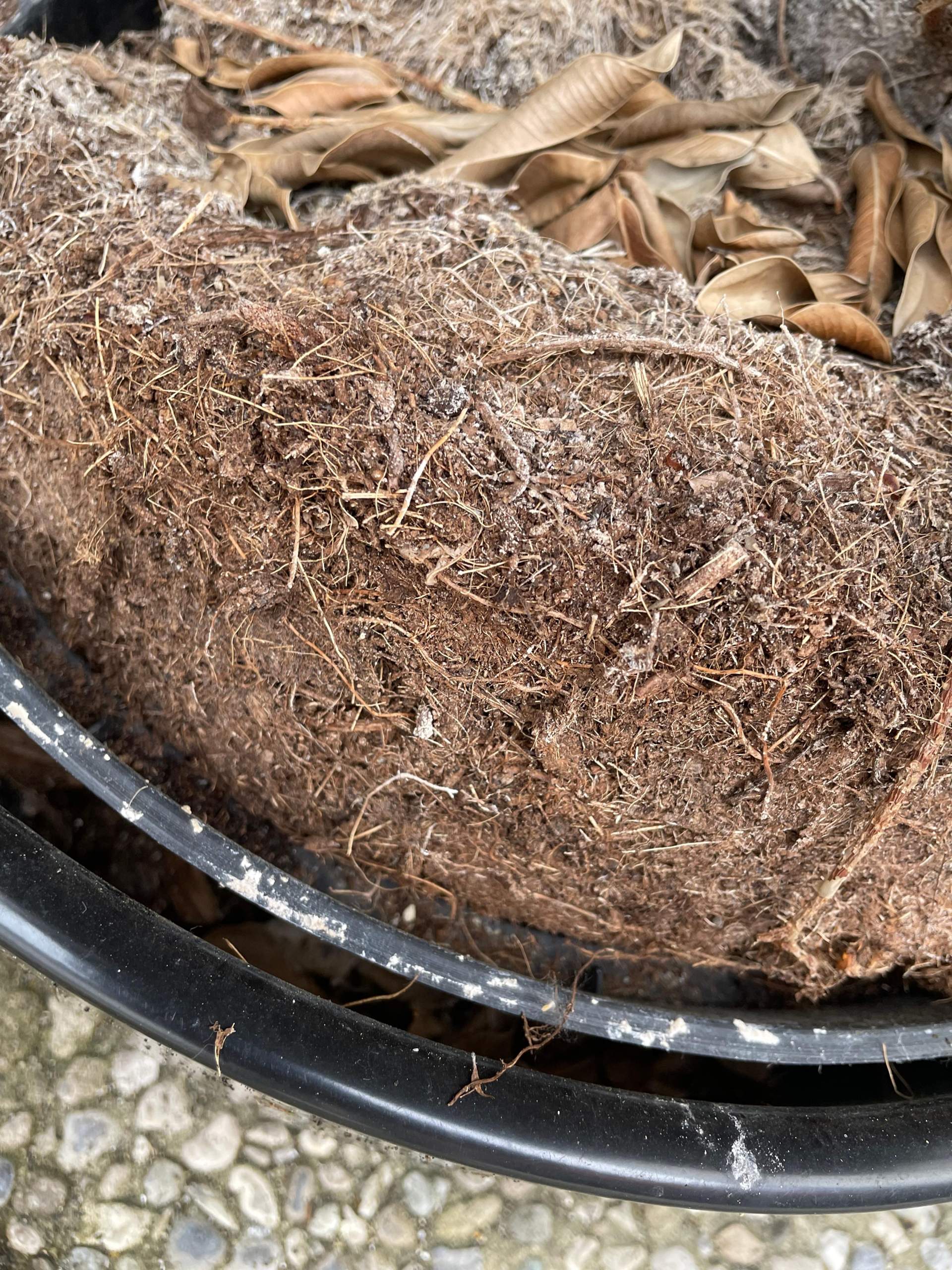 5-teiliges Mini-Gartenwerkzeug-Set Für Pflanzenpflege – Kunststoff, Schwarz, Für Drinnen & Bonsai