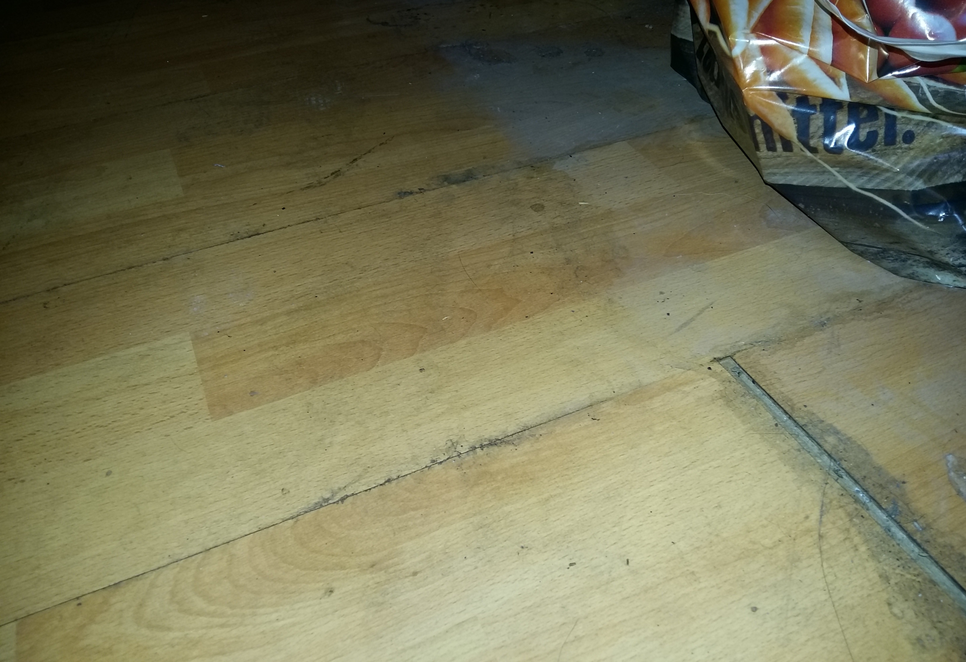 Kann man den Schaden vom aufgezogenen Parkettboden noch beheben oder