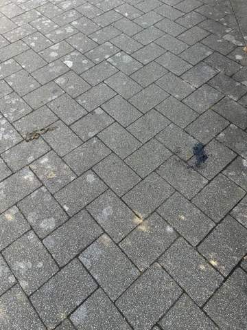 Bild zum Beitrag