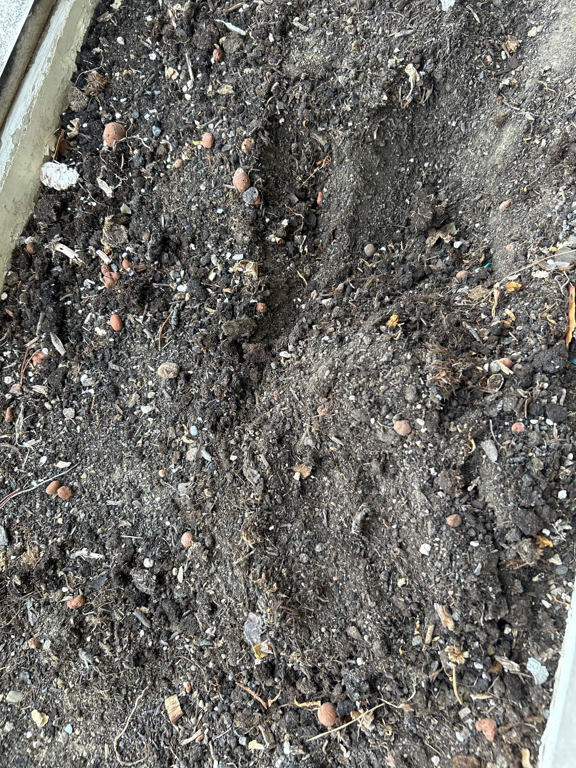 Kann man die Erde noch benutzen? (Pflanzenpflege, Gärtner, Gartenarbeit)