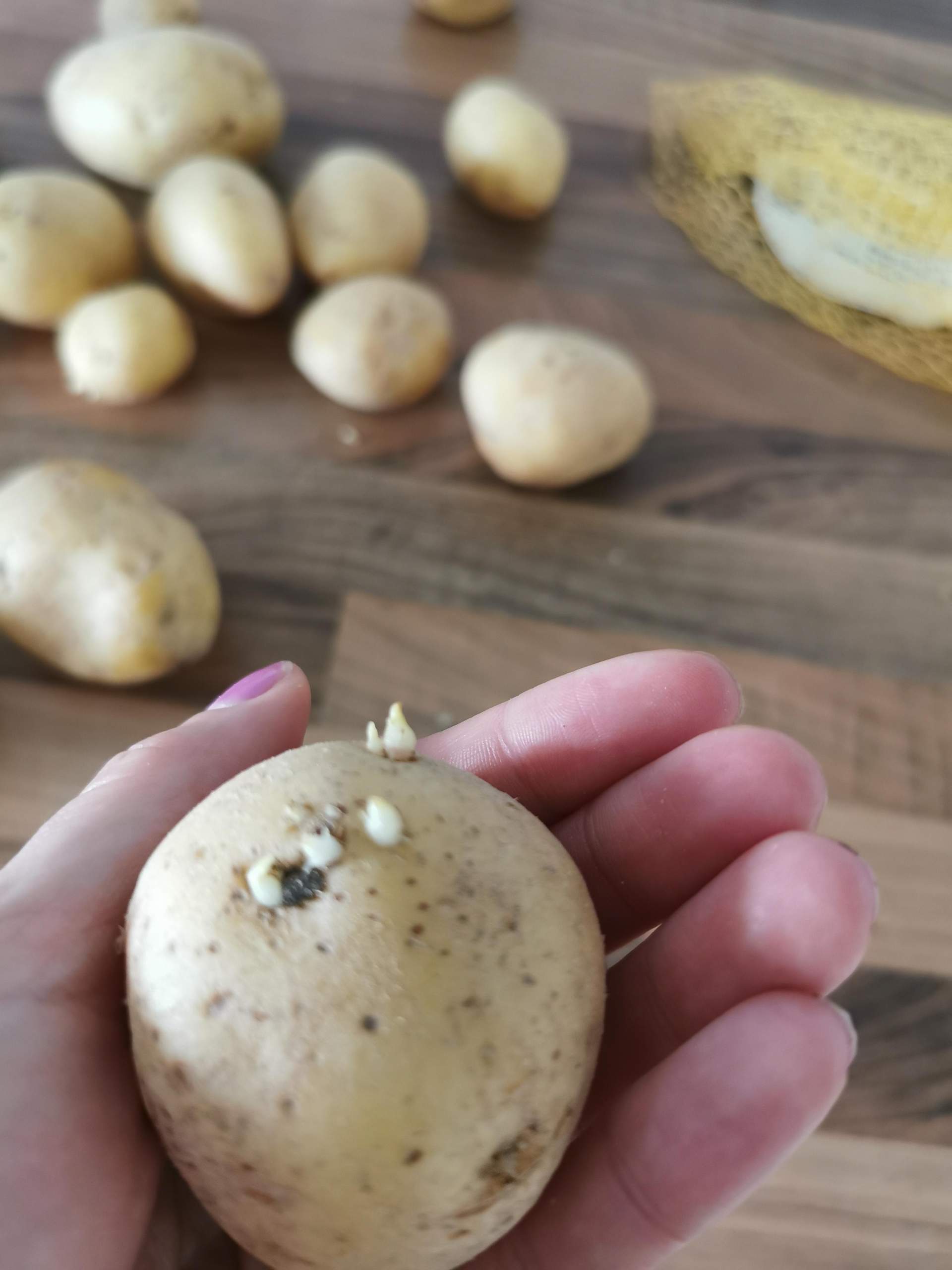 Kann Man Grün Gewordene Kartoffeln Noch Essen Kann man die Kartoffeln noch essen? (abnehmen, Pflanzen, Kalorien)