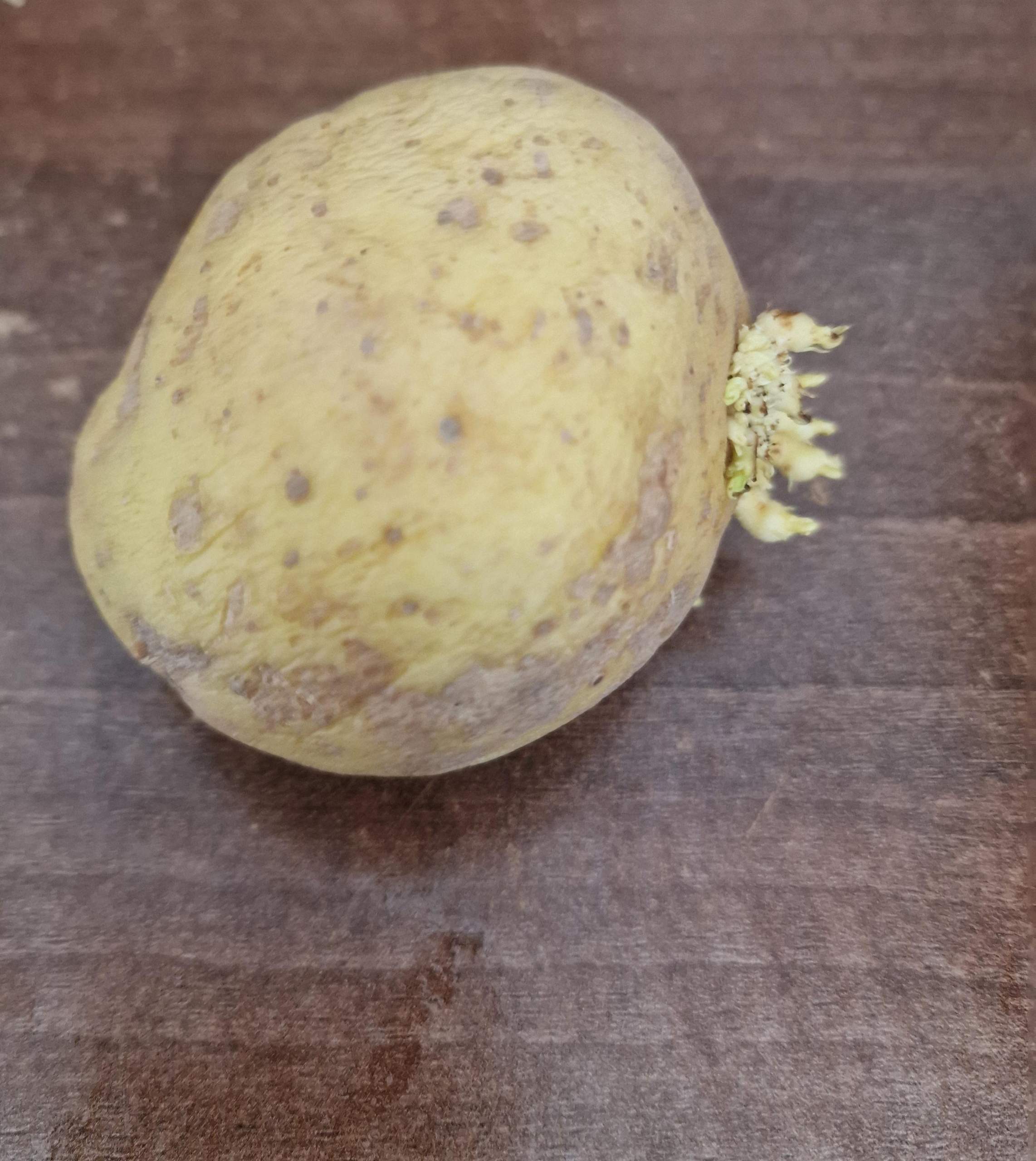 Kann Man Grün Gewordene Kartoffeln Noch Essen
