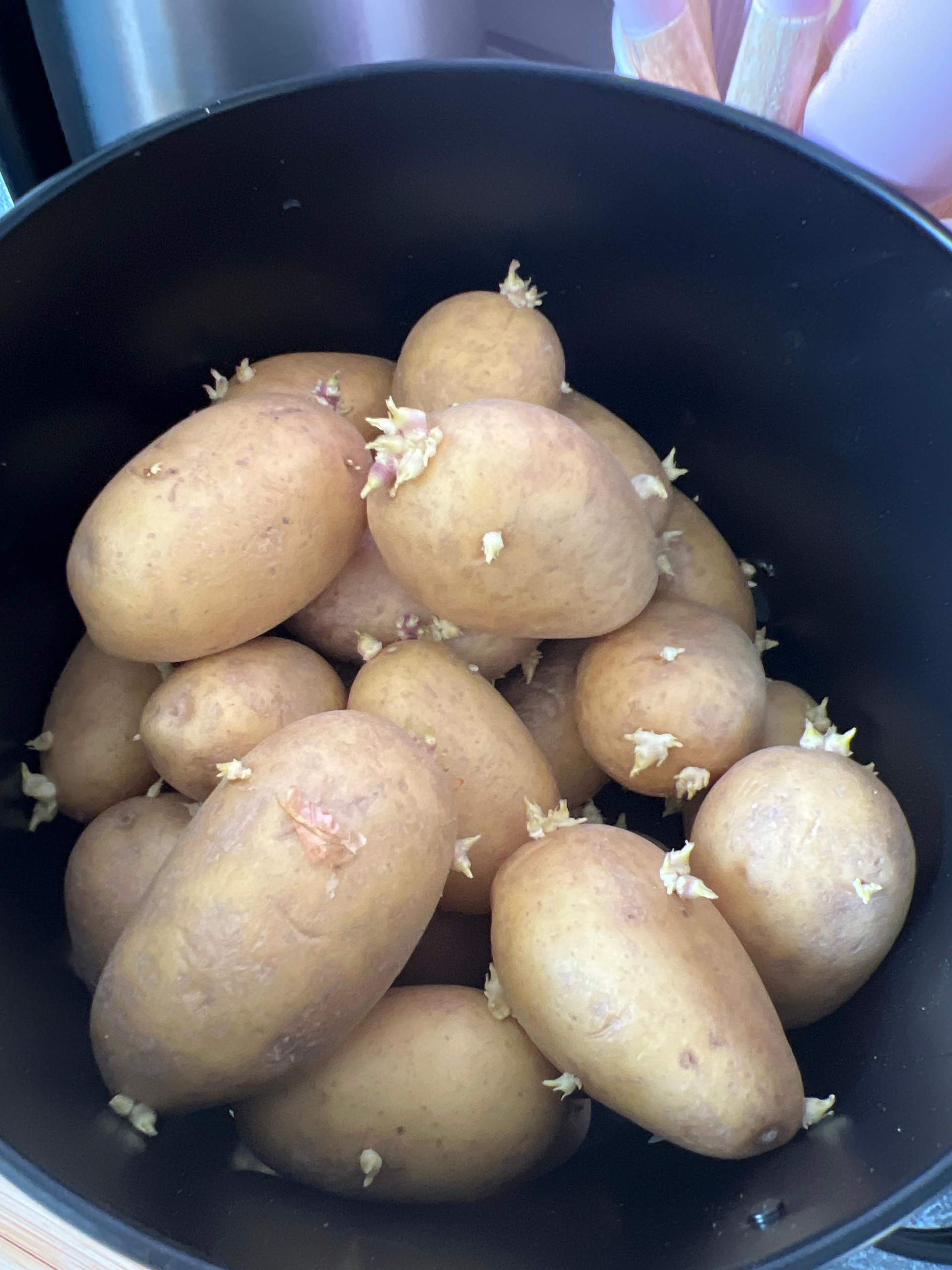 Kann Man Grün Gewordene Kartoffeln Noch Essen Kann man die noch essen? (Kartoffeln, giftig)