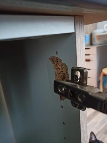 Kann man die Schranktür wieder ranmachen? (kaputt, Küche, Möbel)