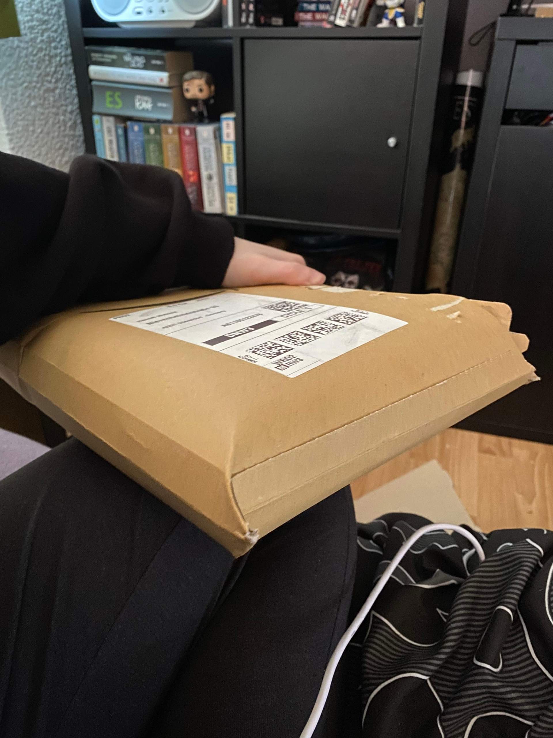 Kann man dieses Paket bei DHL abgeben? (Post, Versand)
