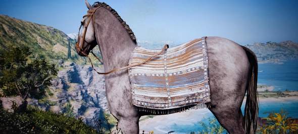 Kann man ein Pferd mit so einem Tuch reiten? Wenn ja, warum kauft man sich dann einen Sattel?