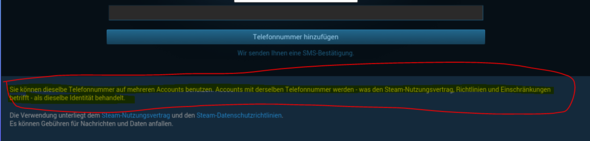 hier steht ich könne dieselbe Nummer zweimal verwenden - (Gaming, online, Steam)