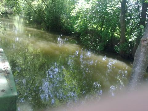 von unserem steg aus fotografiert... - (Wasser, schwimmen, baden)