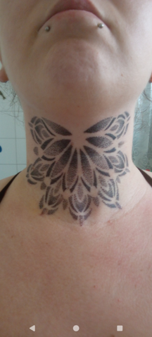 Bild zum Beitrag