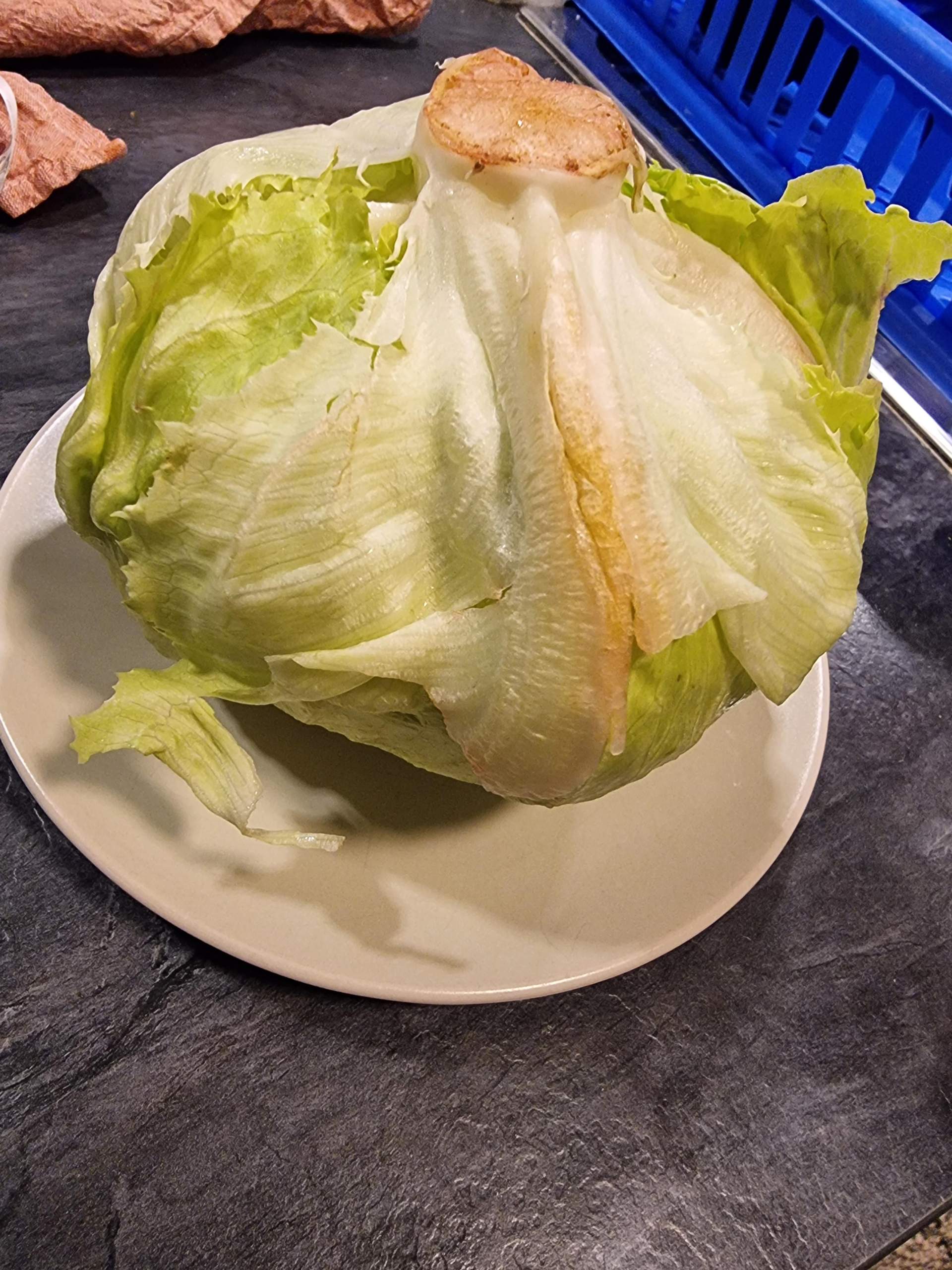 Kann Man Geschossenen Salat Noch Essen Kann man Salat noch essen, wenn da so leichte braune Stellen dran sind
