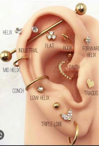 Kann man sich am Ohr überall eine Piercing stechen lassen?