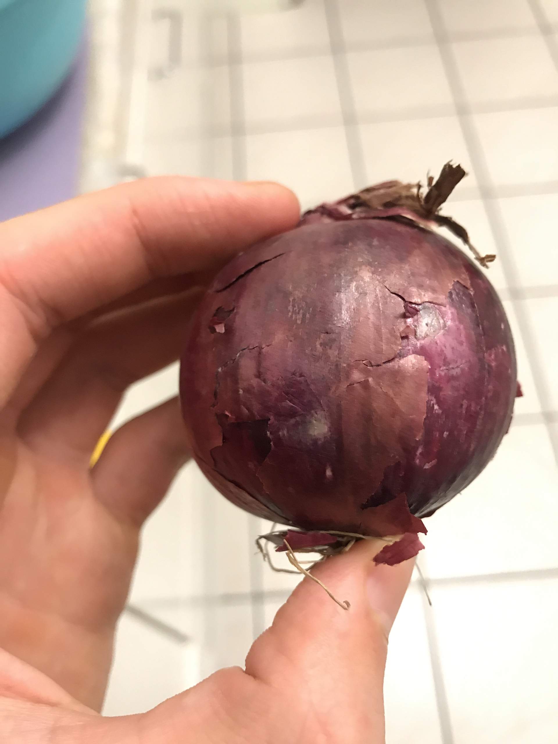 Kann Man Gekeimte Zwiebeln Noch Essen Kann man solche Zwiebeln noch essen(Foto)? (Gesundheit und Medizin