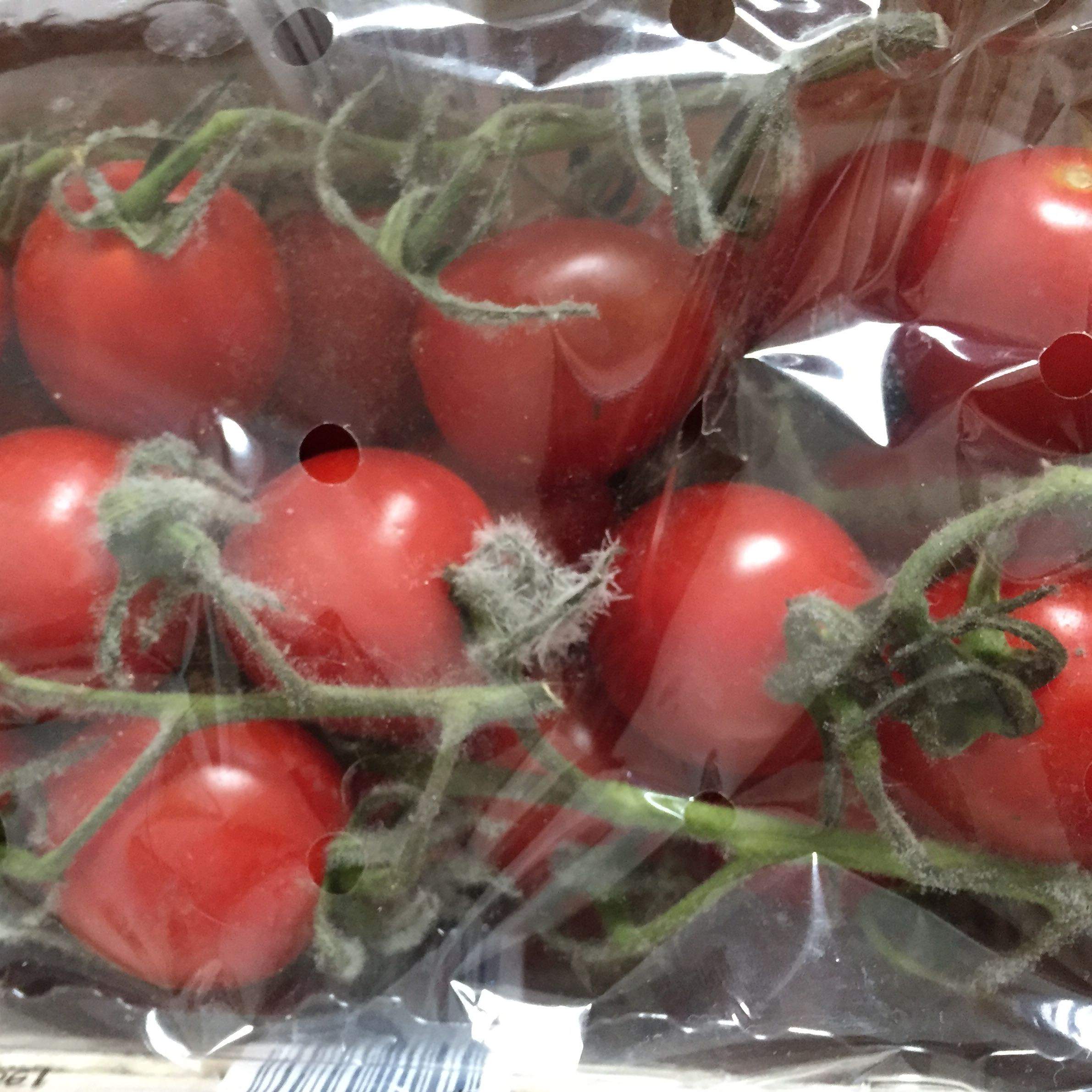 Kann man Tomaten mit Flaum noch essen? (Gesundheit und Medizin, Ernährung, Schimmel)