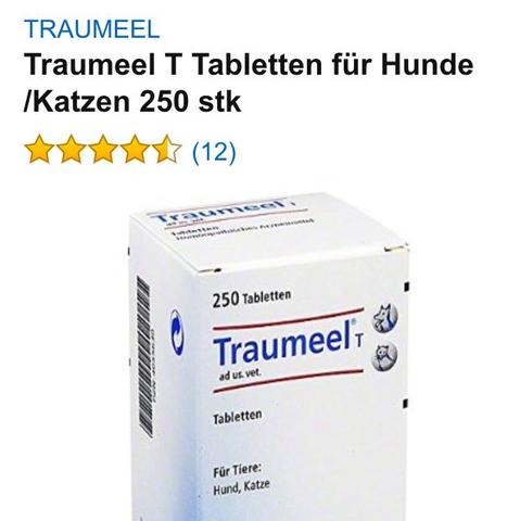 Kann Man Traumeel Fur Hunde Und Katzen Ganz Normal In Der Apotheke