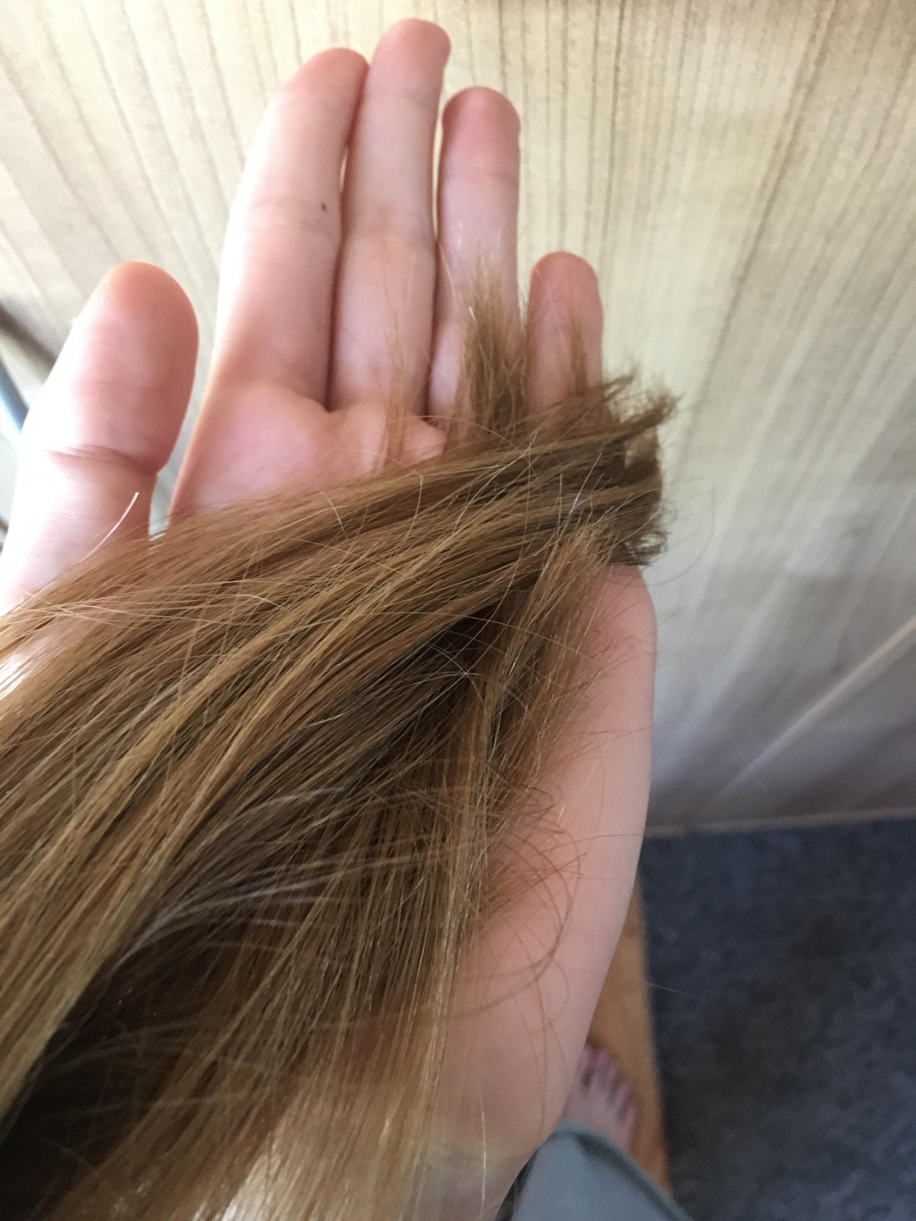 kann man von hellbraun auf blond tonen