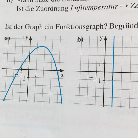 Diese Aufgabe - (Schule, Mathe, Mathematik)