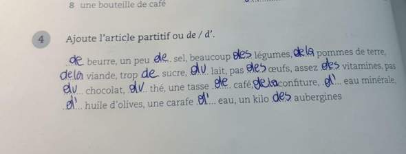 Kann Mir Bitte Jemand Den Luckentext Kontrollieren Schule Sprache Franzosisch