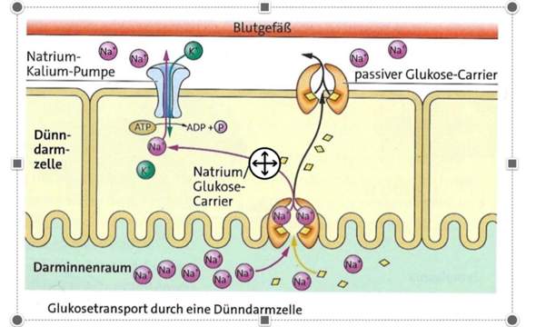 Bild zum Beitrag