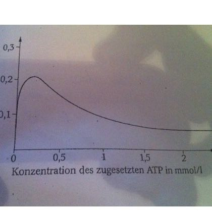 je höher die ppk Aktivität, desto höher ist die ATP konzentration, hemmung? - (Schule, Biologie, Klausur)