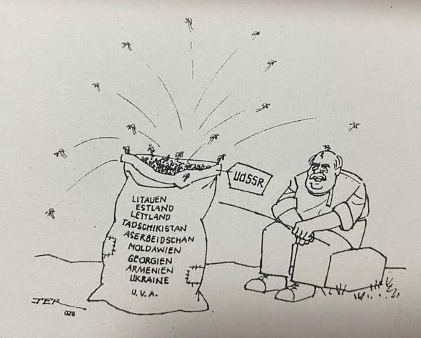 Bild zum Beitrag