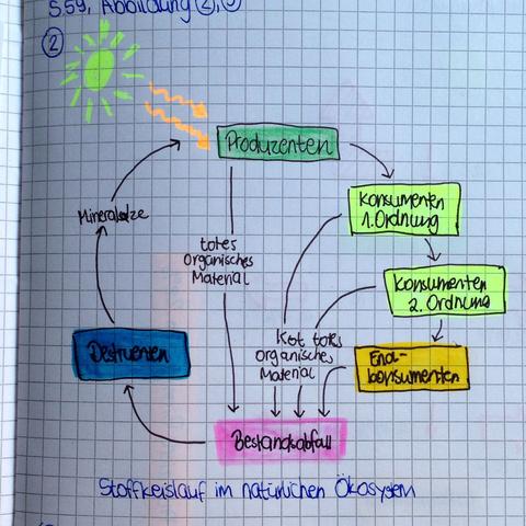 Biologie klasse 7 ökologie Biologie klasse 7 ökologie