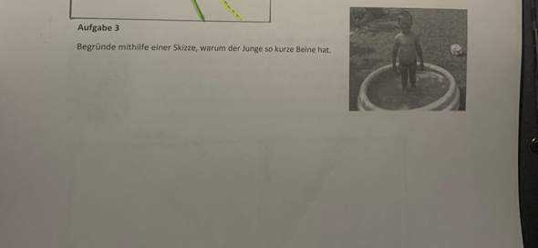 - (Schule, Physik, Hausaufgaben)