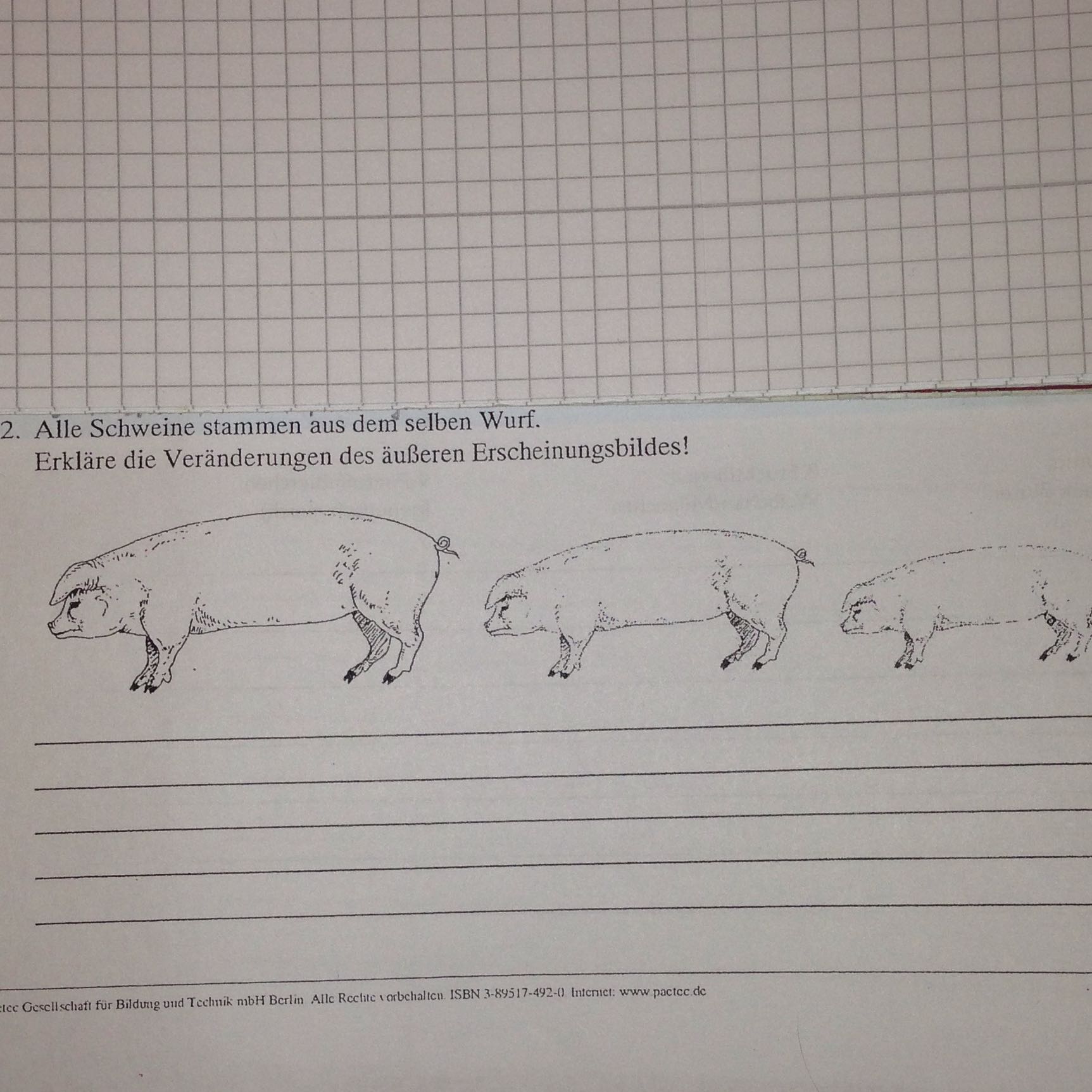 Kann mir jemand bei dieser Biologie Aufgabe helfen(Mutation und ... - 0 Original Kann mir jemand bei dieser Biologie Aufgabe helfen(Mutation und ... - 0 Original