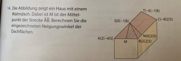 Kann mir jemand bitte bei der Mathe Aufgabe zum Thema „Winkel zwischen zwei Geraden“ weiterhelfen?