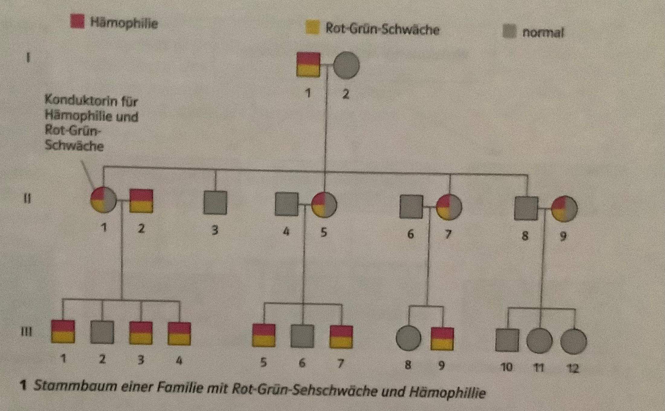 Stammbaum der Farbenblindheit