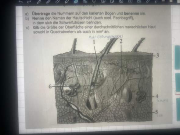 Bild zum Beitrag