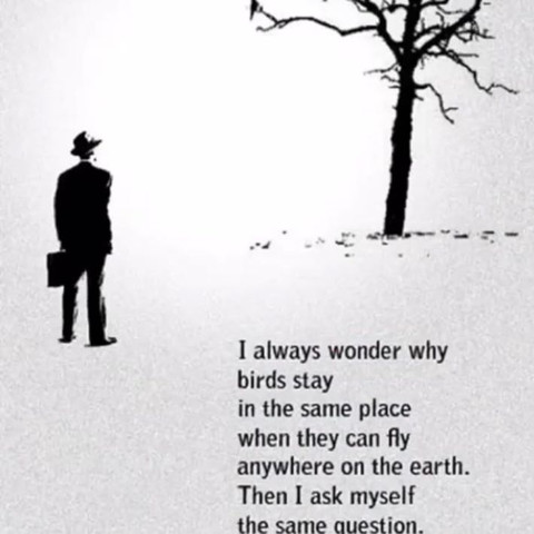 Kann Mir Jemand Diesen Spruch Oder Zitat übersetzen Englisch Kann Mir Jemand Diesen Spruch Oder Zitat übersetzen Englisch