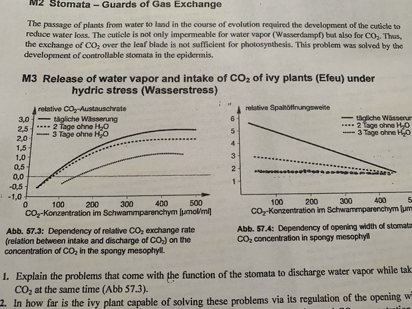 Kann Mir Jemand Dieses Diagramm In Bio Erklaren Biologie Okologie