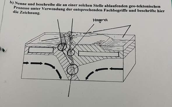 Bild zum Beitrag