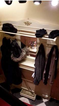 Kann mir jemand sagen aus welchem Jahrhundert bzw. Epoche/ Stile diese