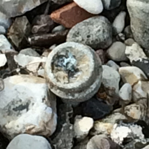 Was ist das? - (Strand, Bombe, Granate)