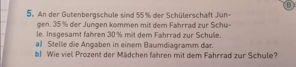 aufgabe 9 55 der mädchen kommen mit dem fahrrad
