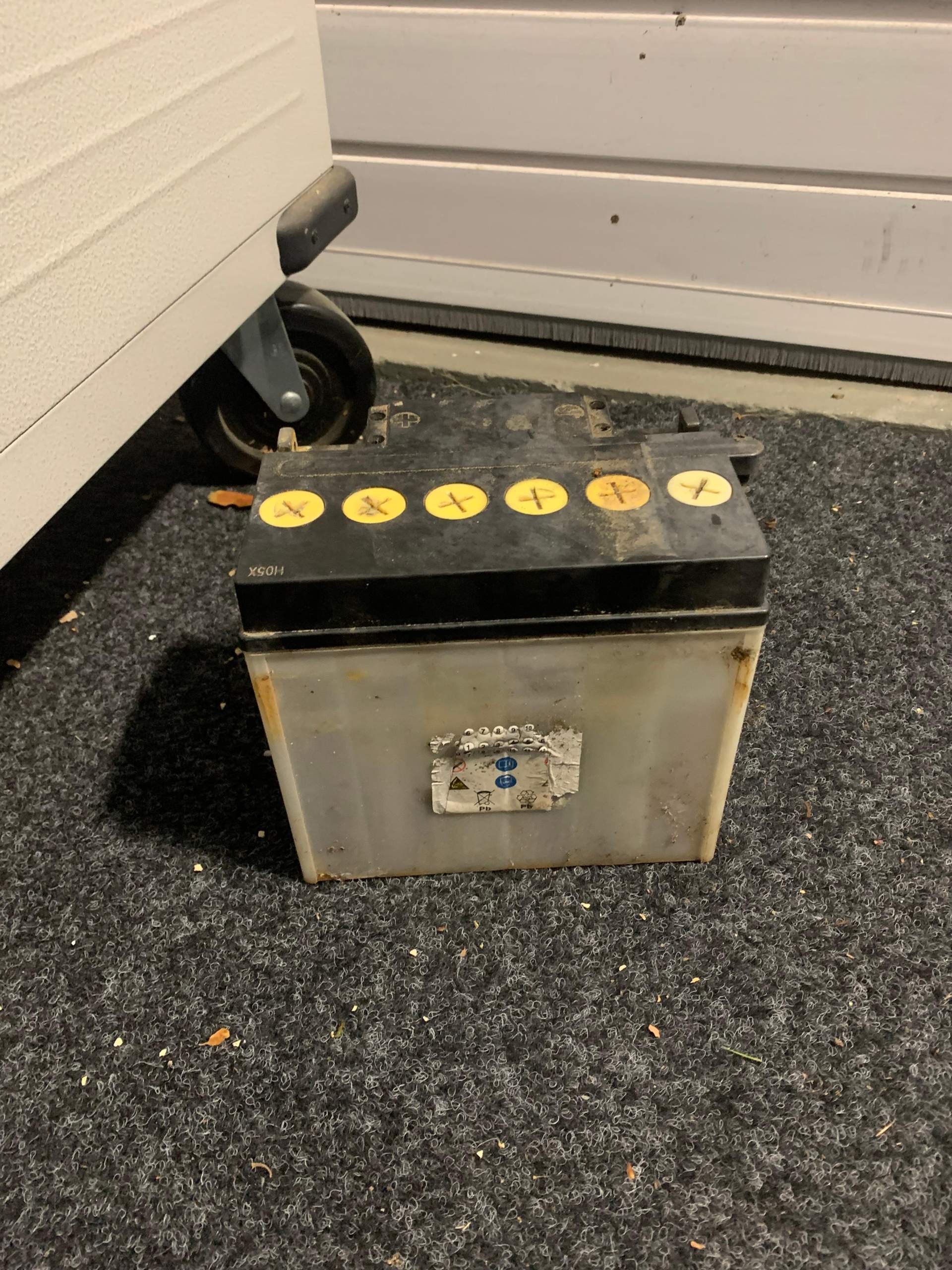 wie viel volt ist tödlich